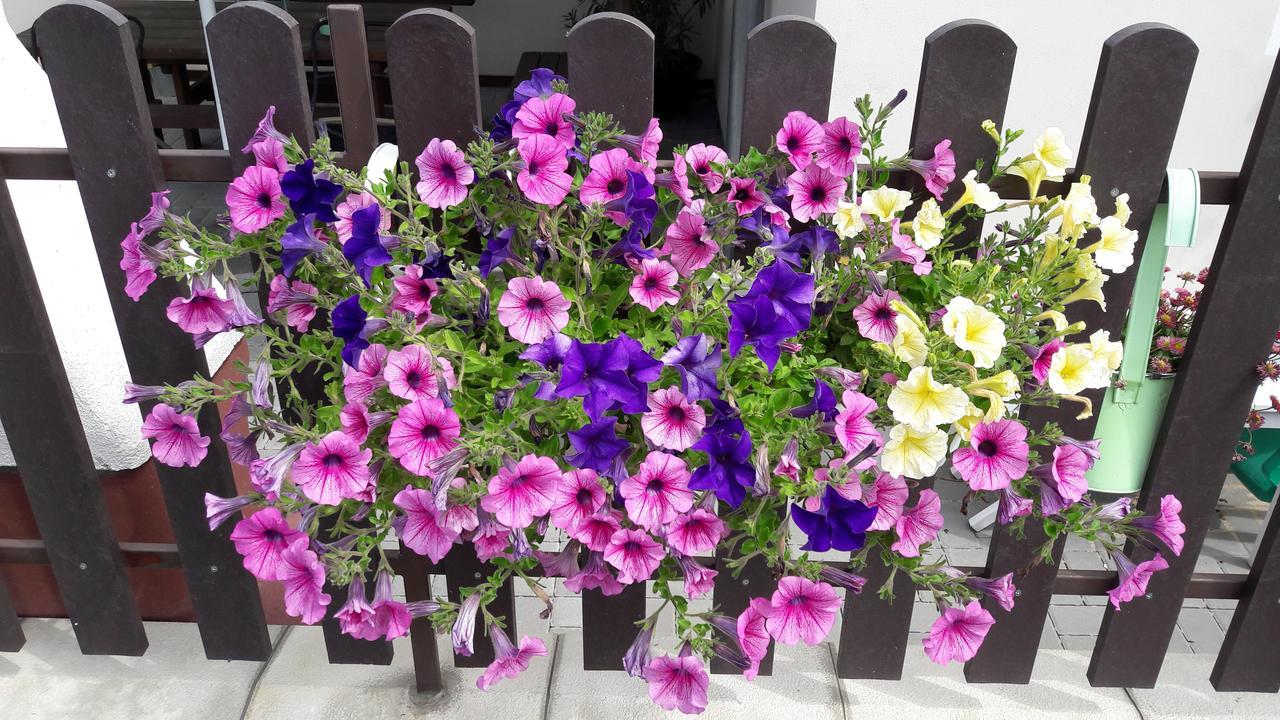 Pension Skalka ลิเบอเรซ ภายนอก รูปภาพ